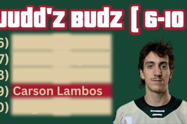 Minnesota Wild Prospects 6-10 | Summer 2024 Cumulative Player Rankings | Spoked Z on Judd'z Budz