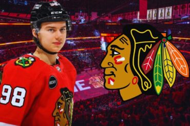 Chicago Blackhawks Season Preview 2024-25