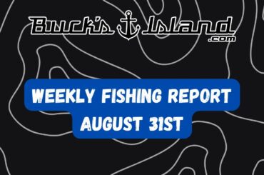 Fishing Report-August 31st- Neely Henry, Weiss, Logan Martin, Lay, Guntersville, Lake Martin, Jordan