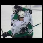 Ruslan Salei crazy shorthanded gamewinner for Ducks (2003)