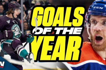 Best Goals Of The 2023-24 NHL Season