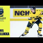 2024 WJC : Axel Sandin Pellikka Highlights