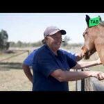 THE LAST TRIP TO BIRDSVILLE | TRAINER CRAIG SMITH