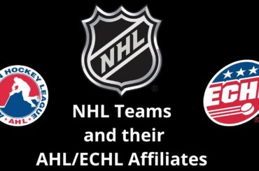 NHL Teams and their AHL/ECHL Affiliates 2024-2025