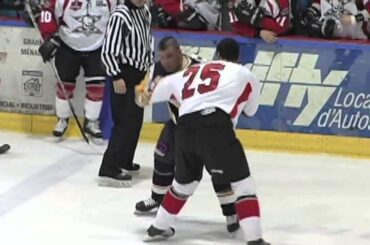 Steve Bosse vs Jaques Dube Summum Chiefs Vs Quebec Vintage LNAH hockey Fight Jan 1 2009