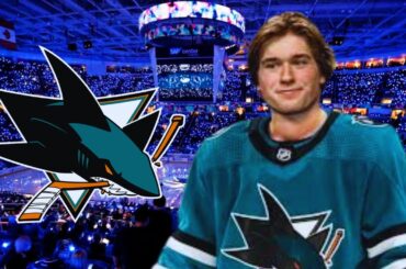 San Jose Sharks Season Preview 2024-25