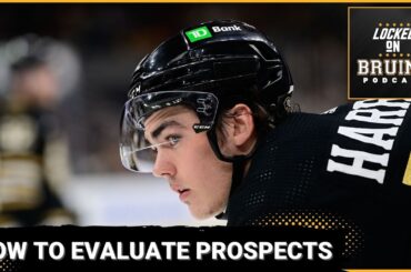 How to Evaluate Prospects + Daily Swayman Update