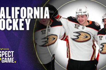 Covering The NHL In California || Respect Her Game