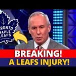 SAD NEWS! LEAFS STAR SUFFERS INJURY AND WORRIES FANS! MAPLE LEAFS NEWS