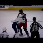 NHL hockey fight - Erik Gudbranson(Blue Jackets) vs. Simon Benoit(Maple Leafs)