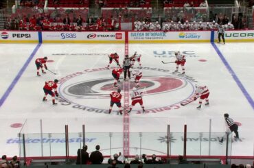 Panthers @ Hurricanes 9/27 | NHL Preseason Highlights 2024