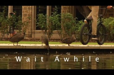 WAIT AWHILE TRAILER/INTRO