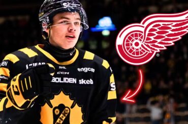 Axel Sandin Pellikka will be a SUPERSTAR with the Detroit Red Wings