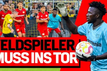 Feldspieler als Torwart: Tapsoba ersetzt Hradecky gegen Borussia Dortmund | Bundesliga | BVB vs. B04