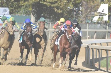 Belmont at the Big A Simulcast - October 13, 2024