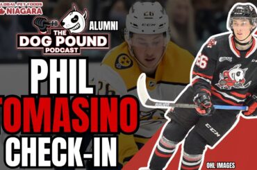 Chatting with former Niagara IceDogs star Phil Tomasino - Dog Pound Podcast: Alumni Series